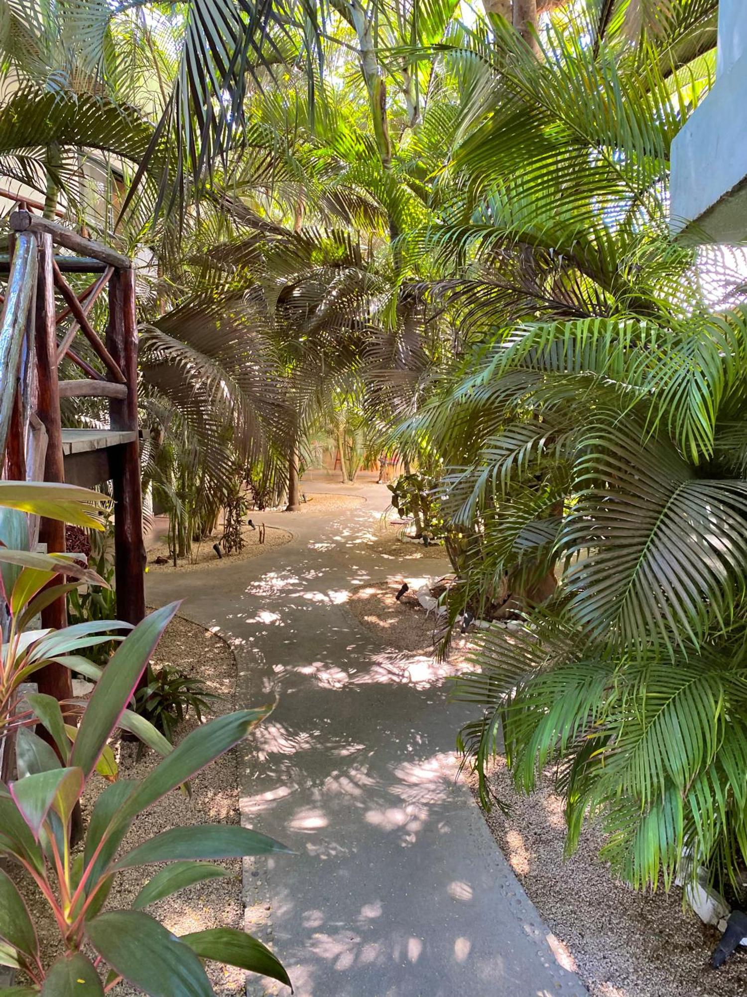 Hotel Pacha Tulum Exterior foto